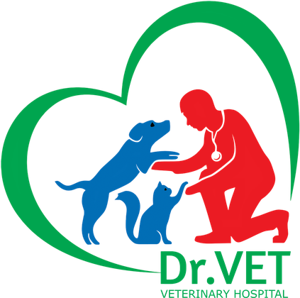 Logo DR.VET