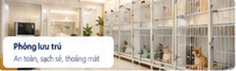 Khu lưu trú DR.VET