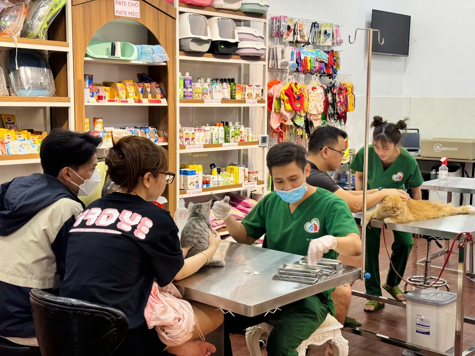 Khám và điều trị tại DR.VET