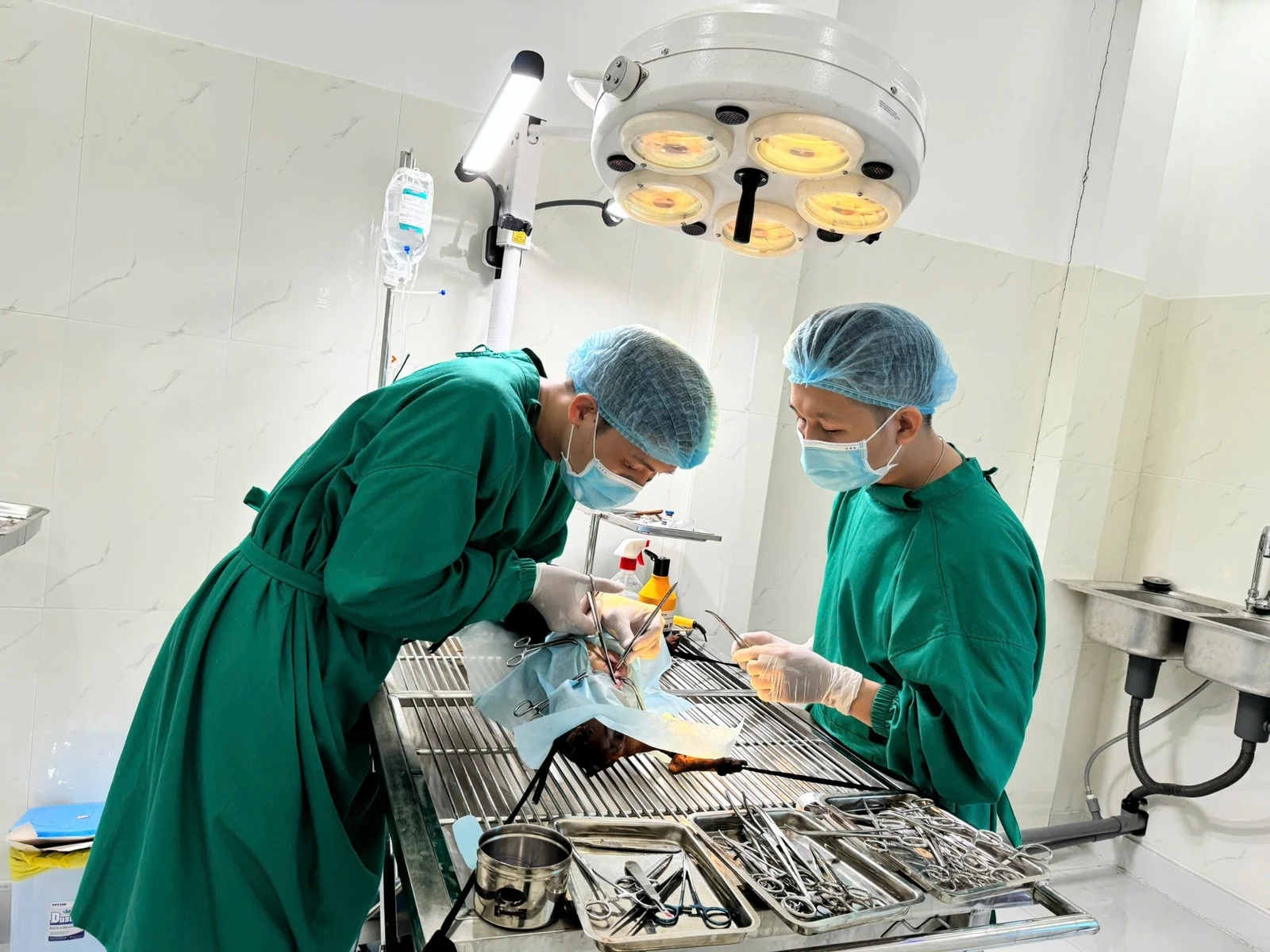 Phẫu thuật tại DR.VET